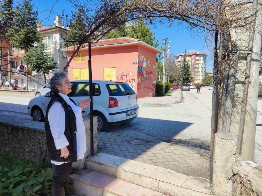 Demir Hırsızları Siteleri Adeta Talan Etti