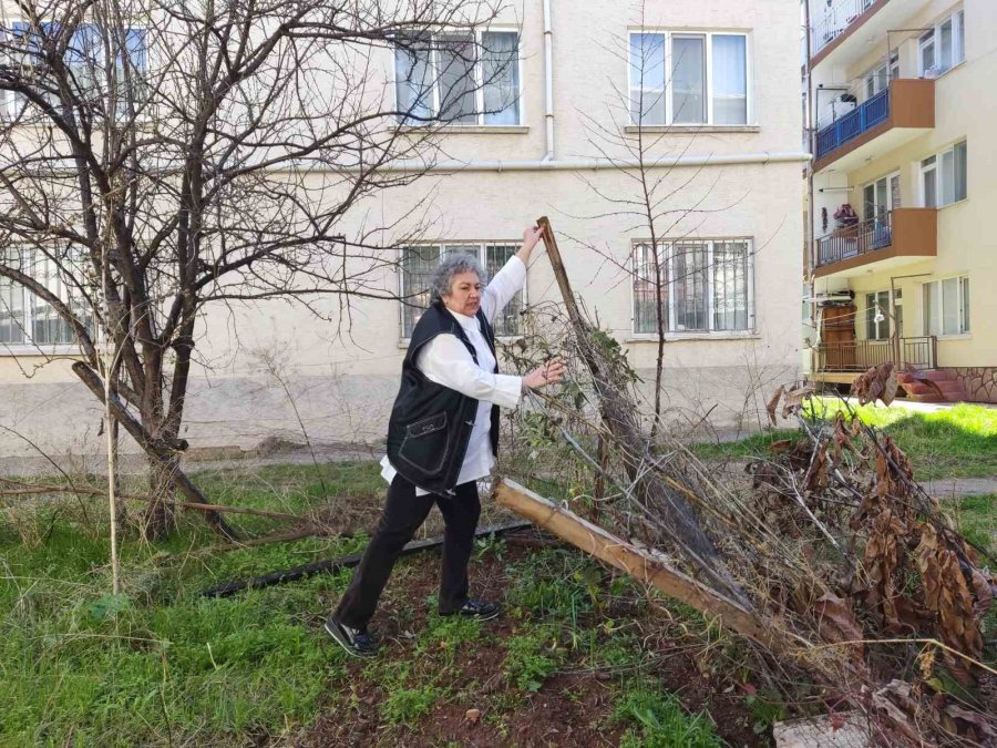 Demir Hırsızları Siteleri Adeta Talan Etti