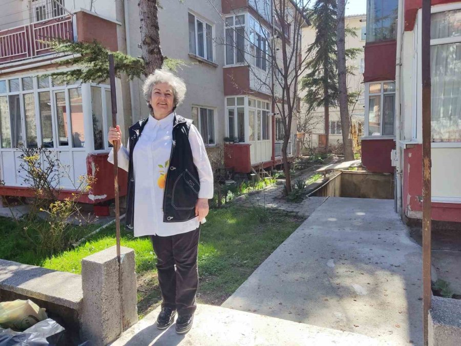 Demir Hırsızları Siteleri Adeta Talan Etti