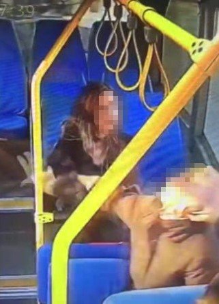 Mersin’de Minibüste İki Kadının Kavgası Kameraya Yansıdı