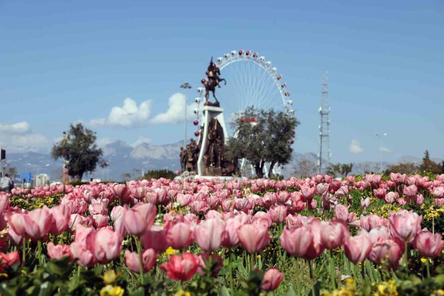 Antalya Rengârenk Lalelerle Süslendi