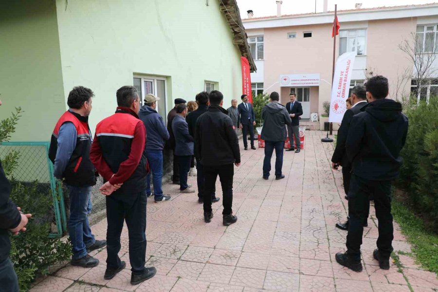 Günyüzü Çiftçisi Gündöndü İle Kazanacak