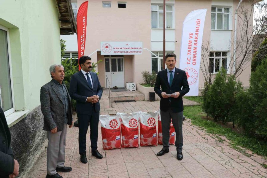 Günyüzü Çiftçisi Gündöndü İle Kazanacak