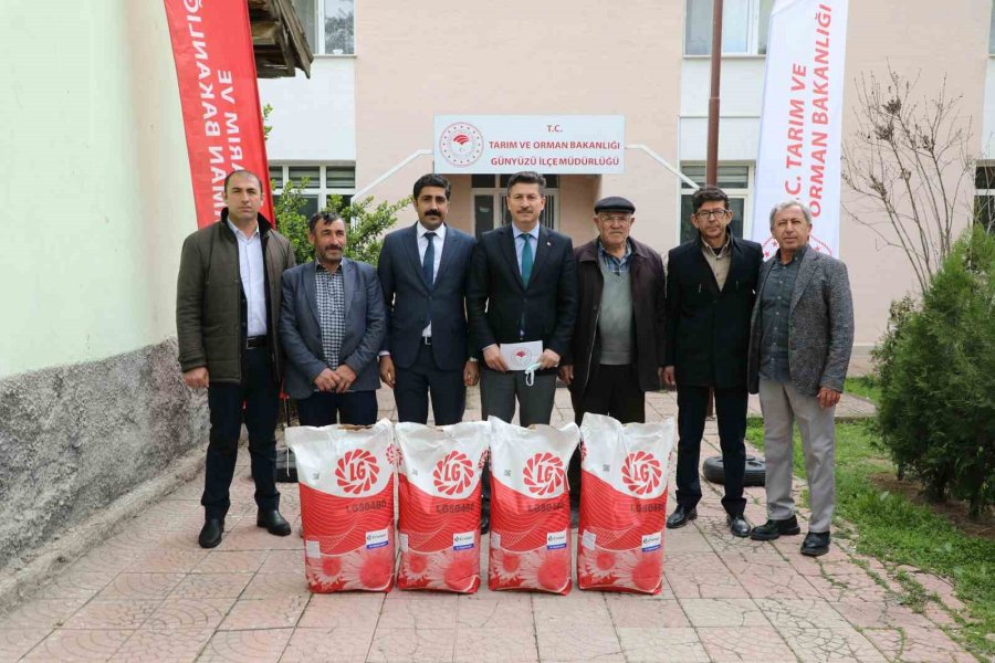 Günyüzü Çiftçisi Gündöndü İle Kazanacak