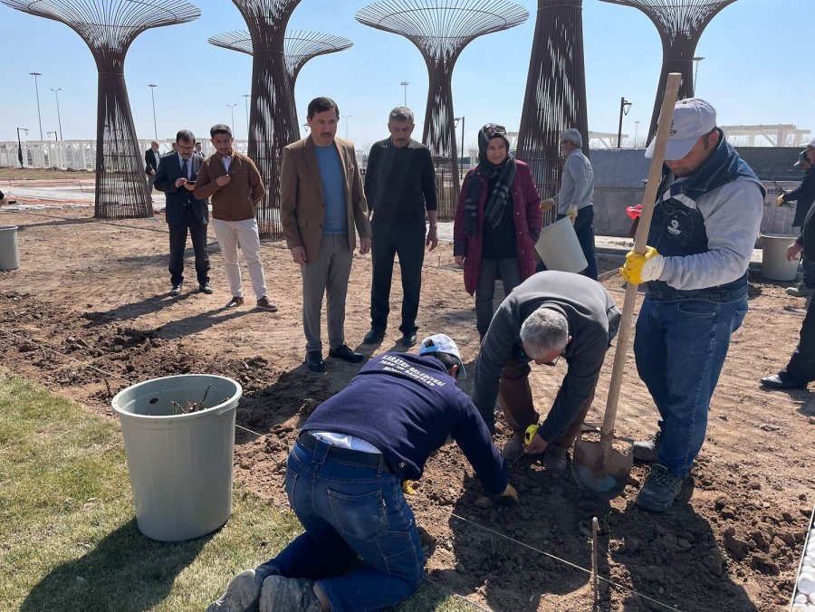 Hasan Kılca: “karatay’ın Güzelliğine Güzellik Katıyoruz”