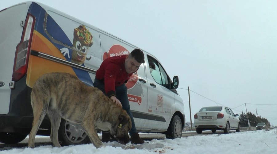 Kar Yağdı, Sokak Hayvanları Unutulmadı