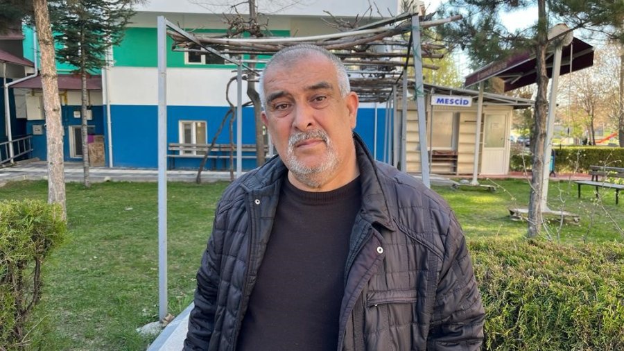 Domuzlar Şehir Merkezinde