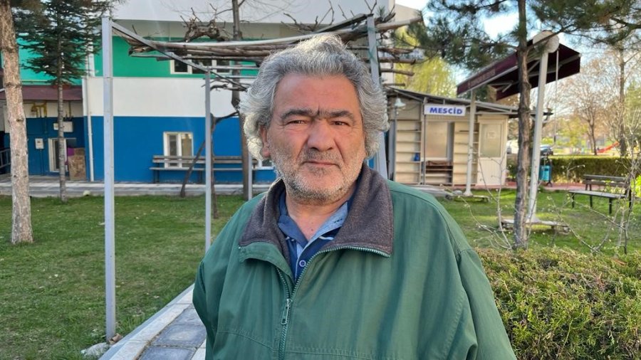 Domuzlar Şehir Merkezinde