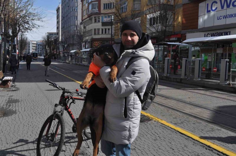 Kayıp Köpeğe Duyarlı Vatandaş Sahip Çıktı