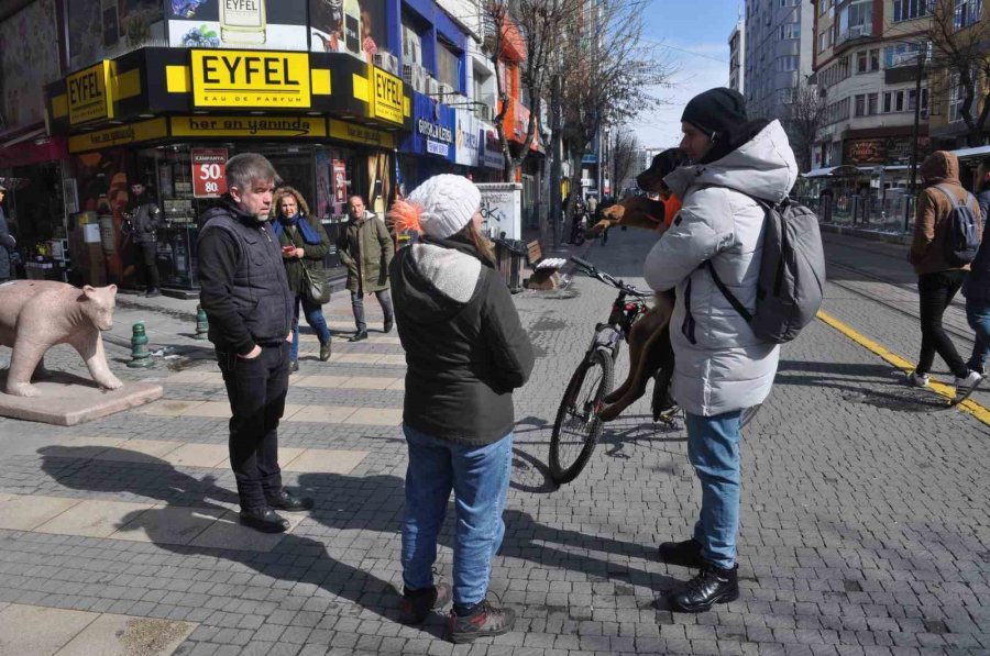 Kayıp Köpeğe Duyarlı Vatandaş Sahip Çıktı
