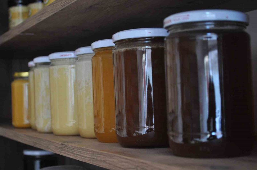 Kristalize Olmuş Bal Kendini Korumaya Almış Baldır