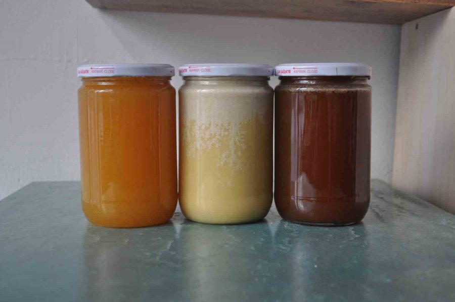 Kristalize Olmuş Bal Kendini Korumaya Almış Baldır