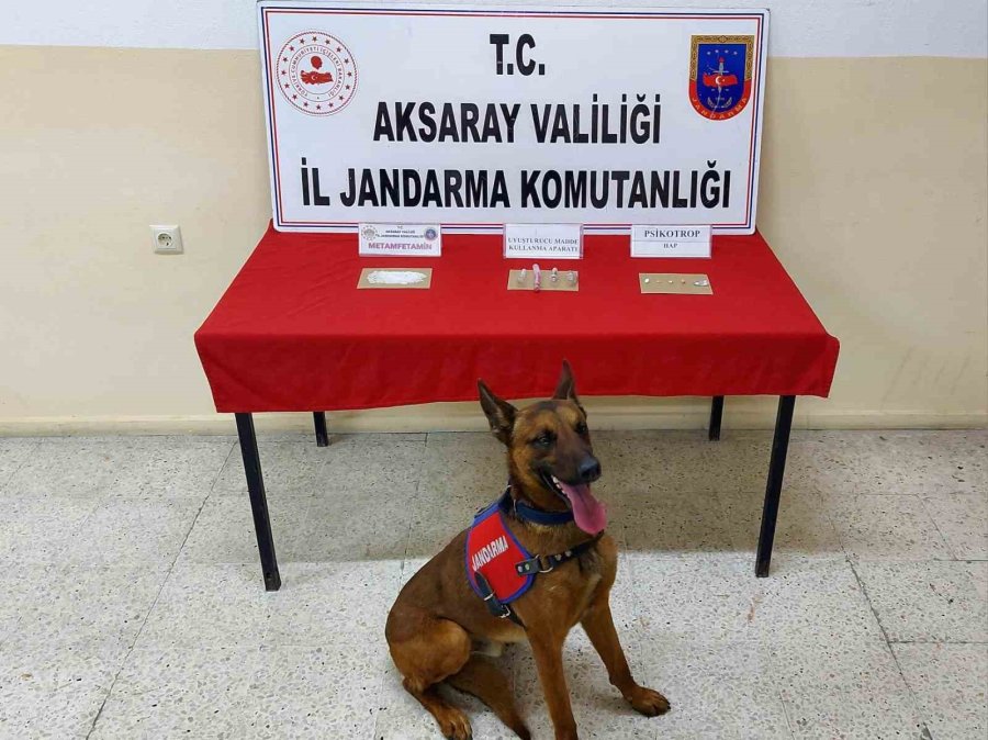 ’kaput’ Kanepeye Gizlenmiş Uyuşturucu Tespit Etti