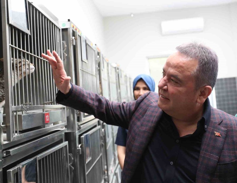 Antalya Büyükşehir’den ’can Dostlara’ Türkiye’nin En Modern Tesisi