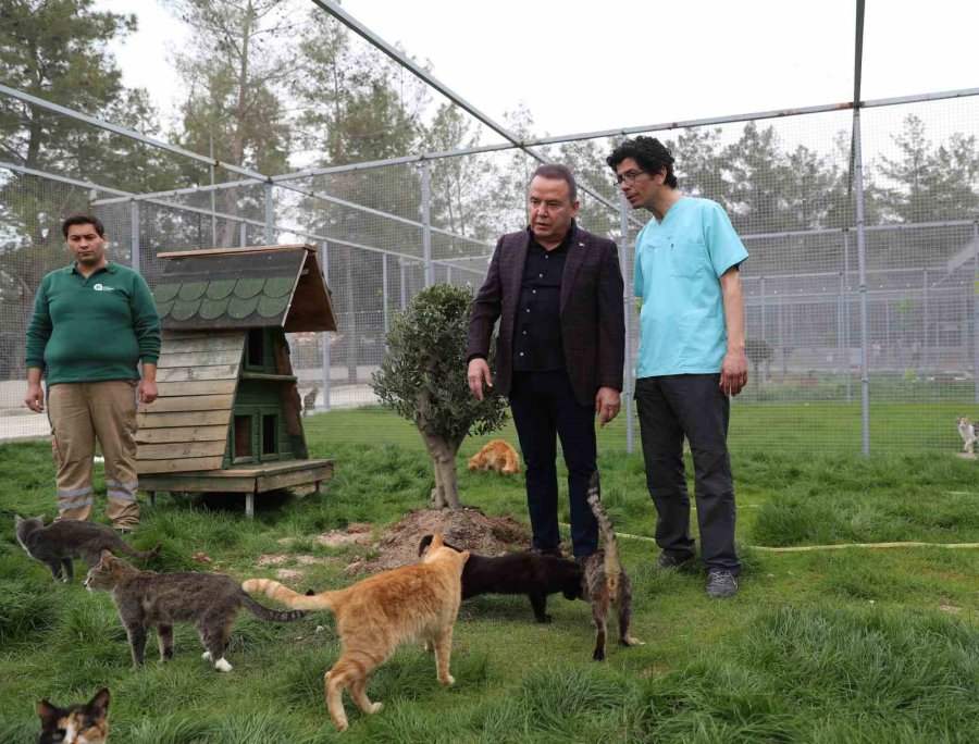 Antalya Büyükşehir’den ’can Dostlara’ Türkiye’nin En Modern Tesisi