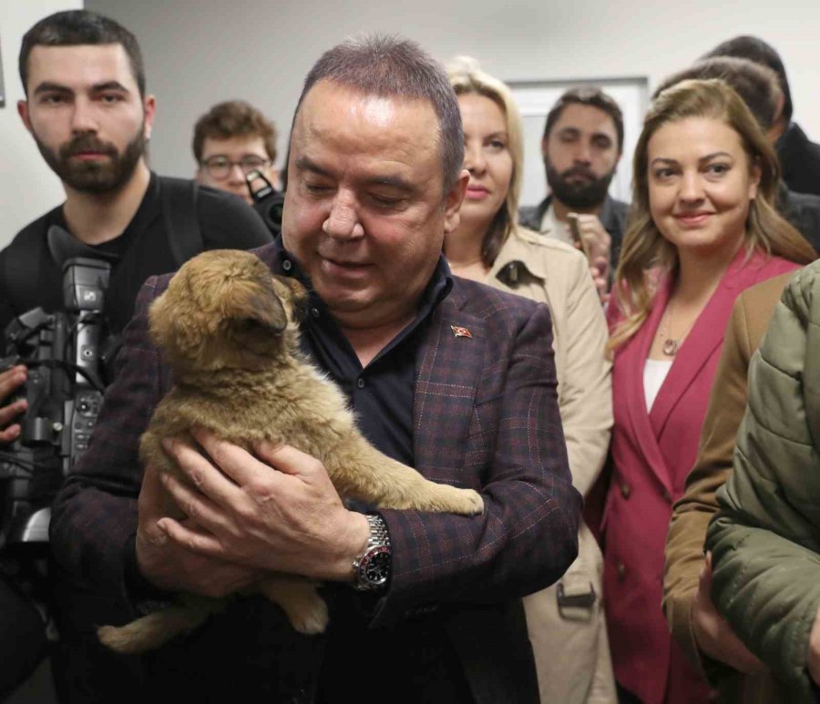 Antalya Büyükşehir’den ’can Dostlara’ Türkiye’nin En Modern Tesisi