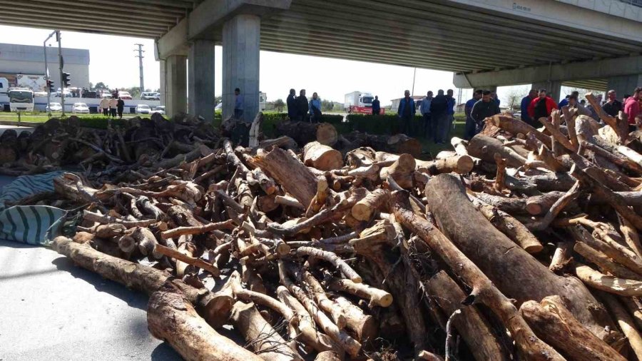 Antalya’da Freni Patlayan Tomruk Yüklü Kamyon Devrildi: 1 Yaralı