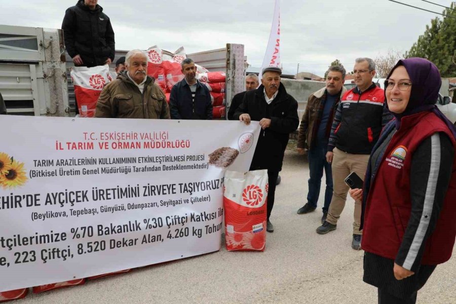 Çifteler’e Yüzde 70’i Hibe Ayçiçeği Tohumu Dağıtıldı