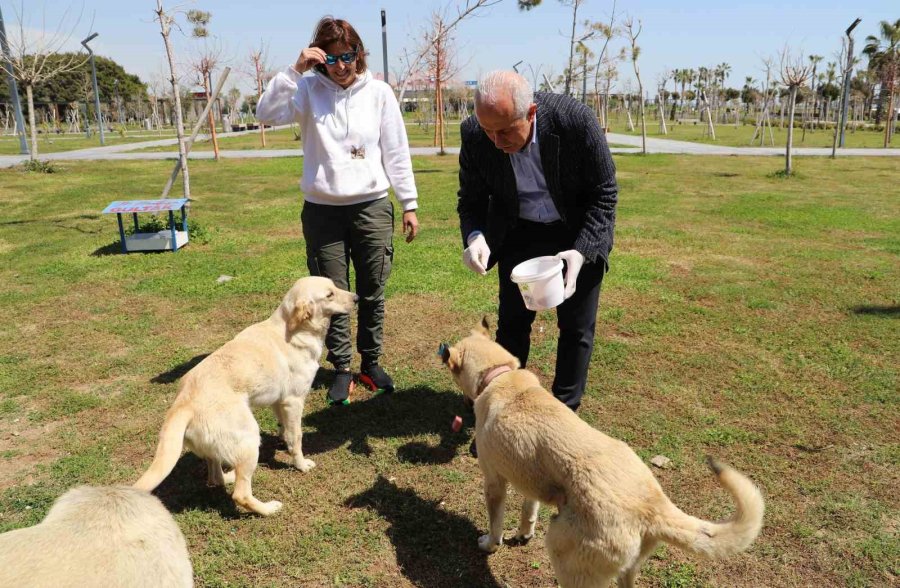 Akdeniz’de Can Dostlara Özel Etkinlik