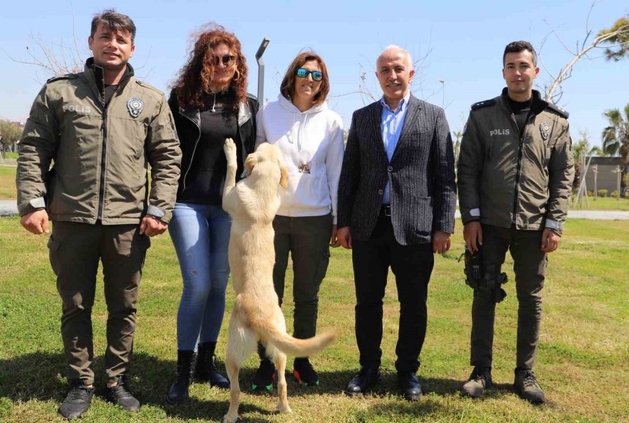 Akdeniz’de Can Dostlara Özel Etkinlik