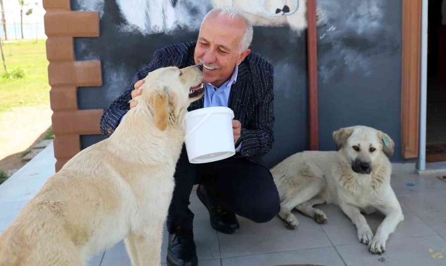 Akdeniz’de Can Dostlara Özel Etkinlik