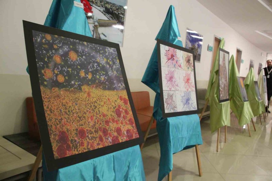 Hastalıklı Dokular Sanat Eserine Dönüştü