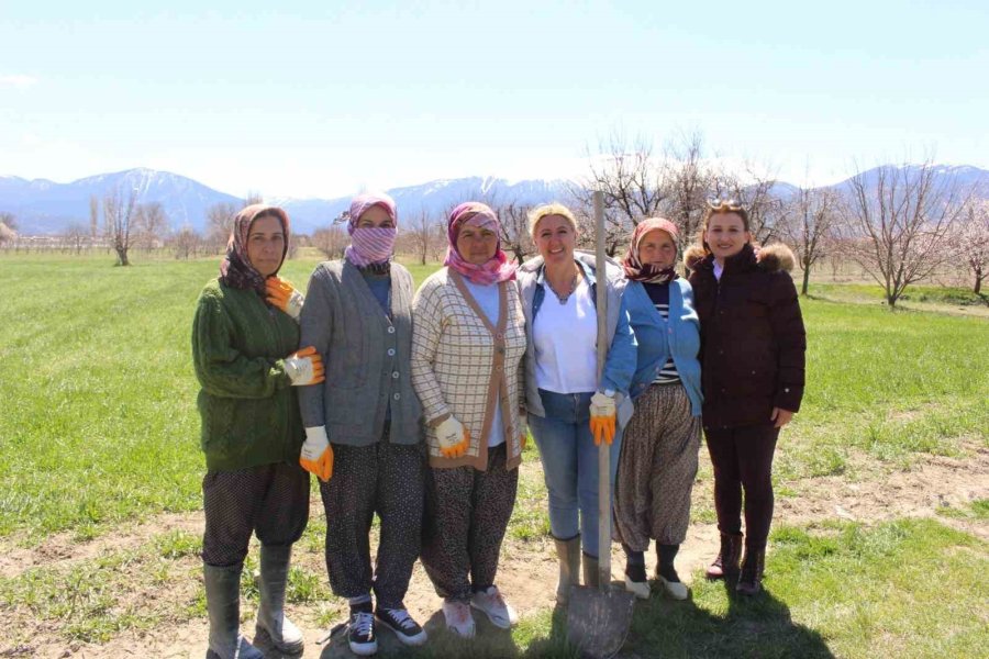 Antep Fıstığı Fidanları Elmalı’da Toprakla Buluşturuldu
