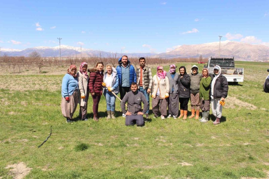 Antep Fıstığı Fidanları Elmalı’da Toprakla Buluşturuldu