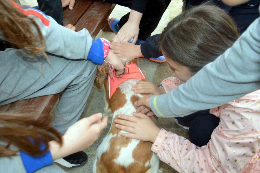 Öğrenciler Sevimli Dostları Unutmadı