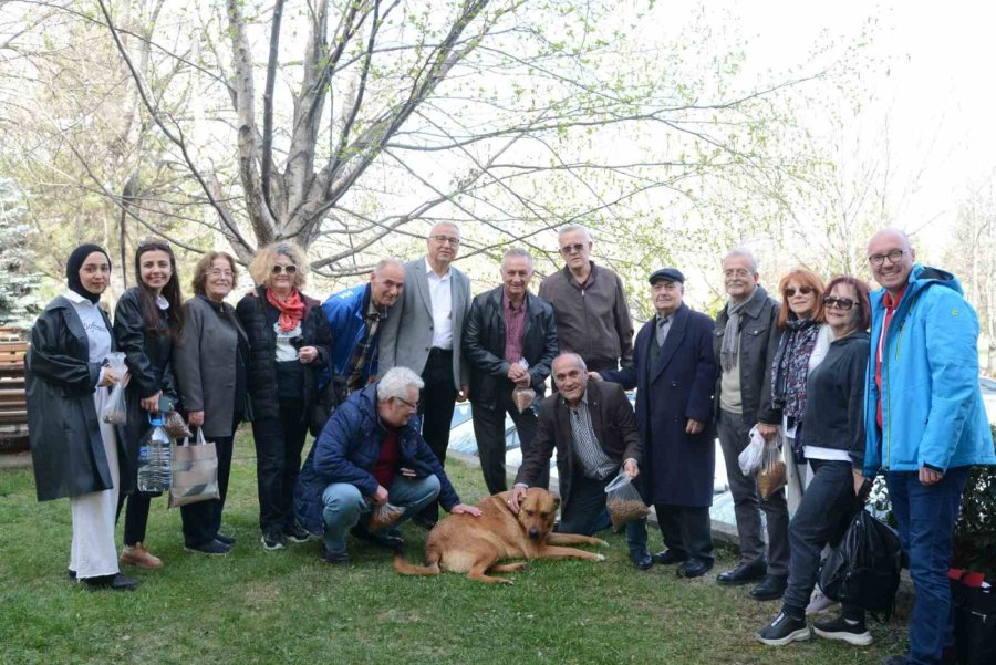 Tazelenme Üniversitesi Öğrencileri Sokak Hayvanlarını Unutmadı