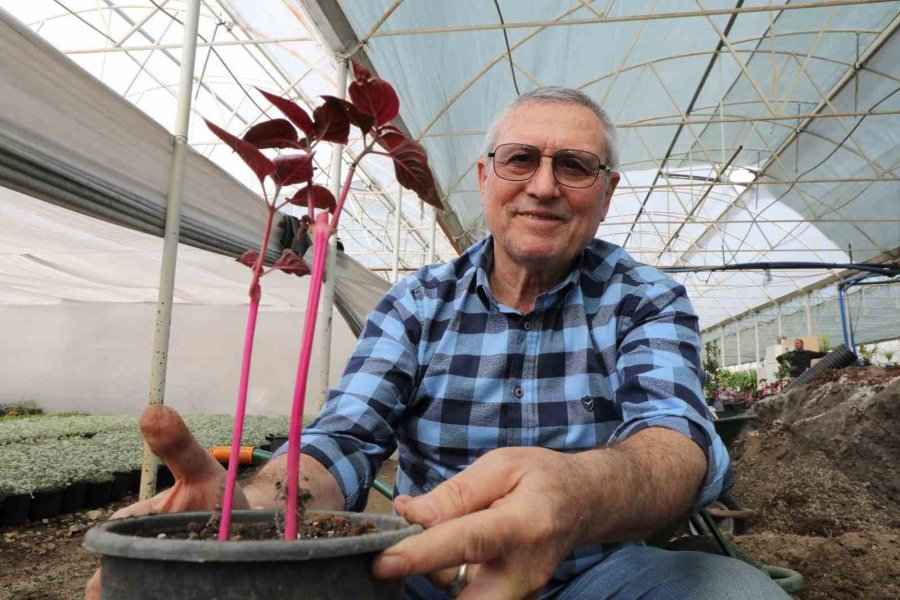 Tazelenme Öğrencilerinde Staj Heyecanı