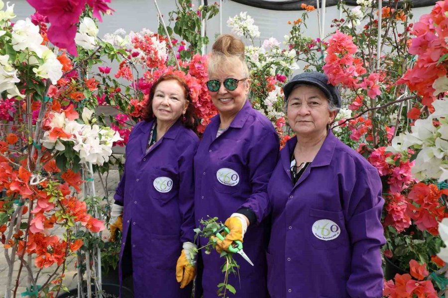 Tazelenme Öğrencilerinde Staj Heyecanı