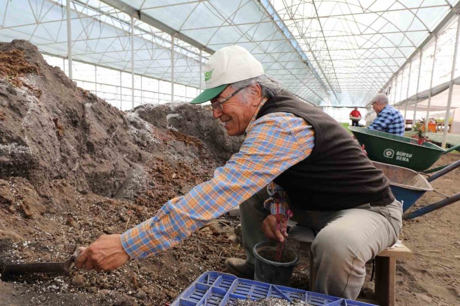 Tazelenme Öğrencilerinde Staj Heyecanı