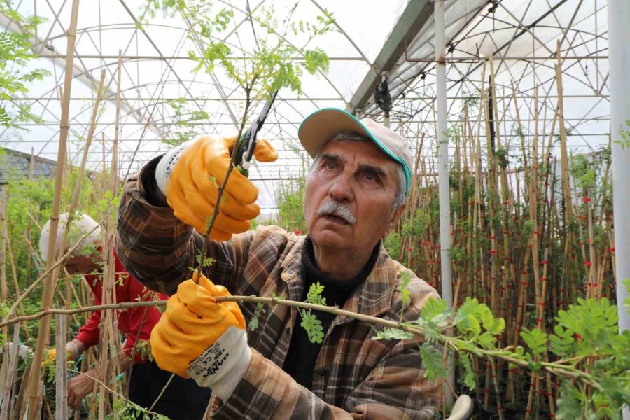 Tazelenme Öğrencilerinde Staj Heyecanı