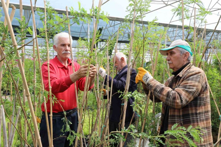 Tazelenme Öğrencilerinde Staj Heyecanı