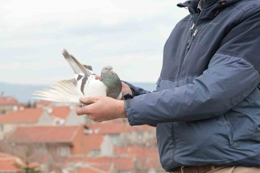 Sadece İftar Yapmak İçin Güvercinlerinin Yanından Ayrılıyor