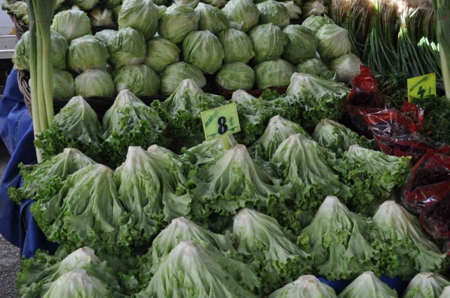 Ramazan Ayında Yeşilliğe Rağbet Yüksek