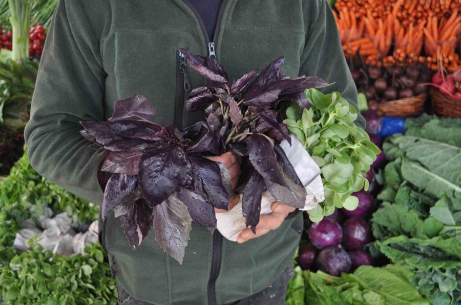 Ramazan Ayında Yeşilliğe Rağbet Yüksek