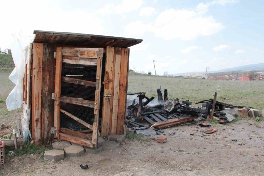 Yangın Çıkan Güvercin Kulübesi Küle Döndü