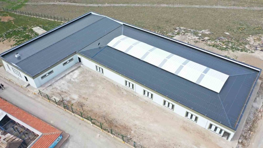 Büyükşehirden Yeni Ve Modern Kedi Köpek Evi