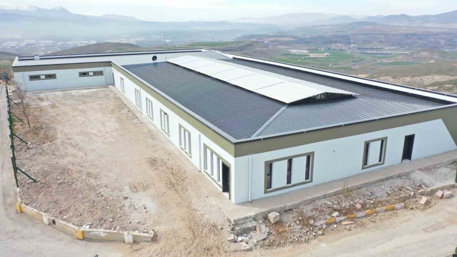 Büyükşehirden Yeni Ve Modern Kedi Köpek Evi