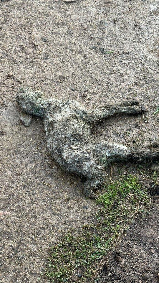 Aksaray’da Fırtına Ve Hortum Yıktı Geçti