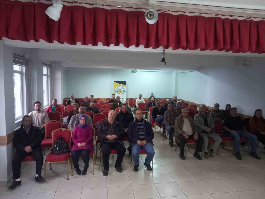 Arıcılık Öğrenmek İsteyen Kişi Sayısı Arttı