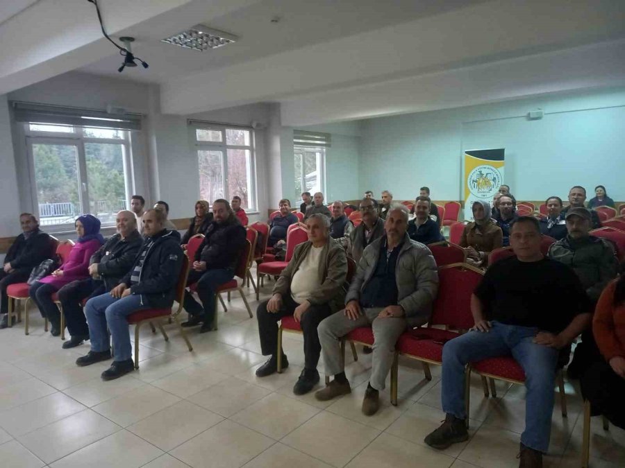 Arıcılık Öğrenmek İsteyen Kişi Sayısı Arttı