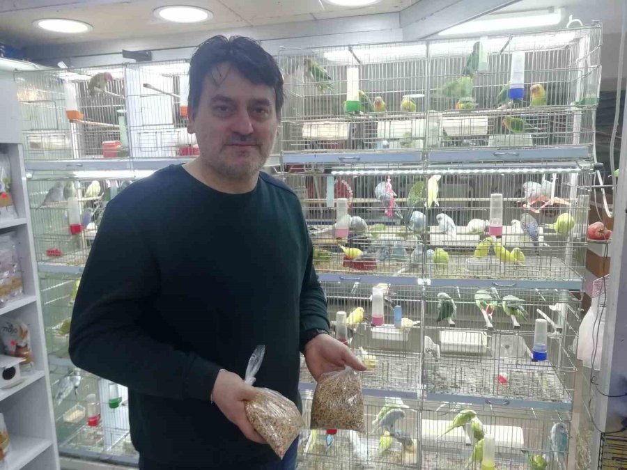 Petshopçuların Oda Talebi