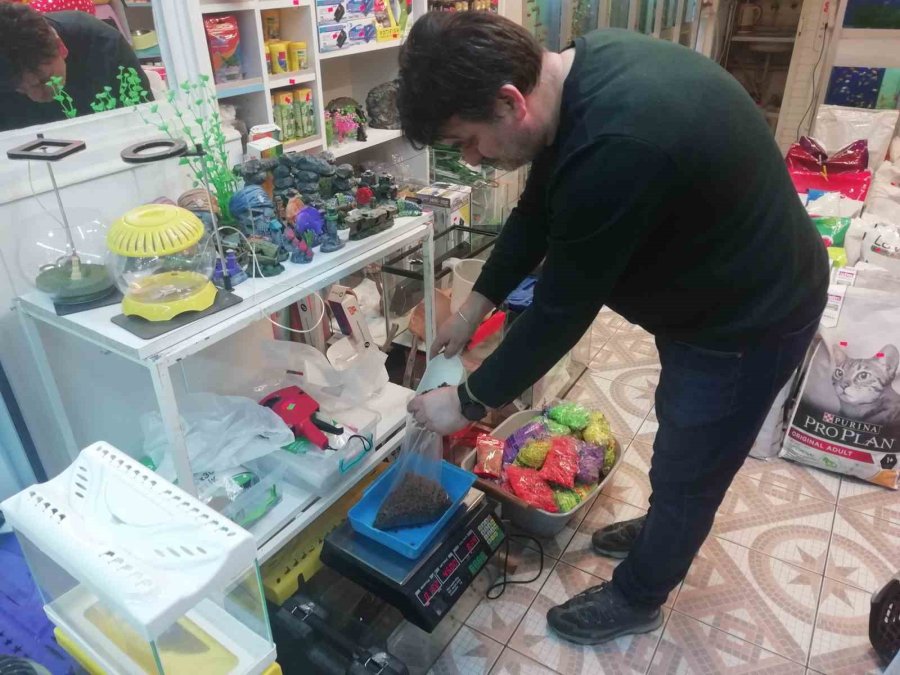 Petshopçuların Oda Talebi
