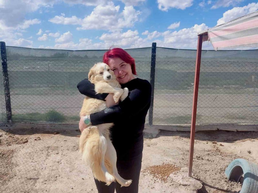 Evinin Bahçesini 42 Köpekle Paylaşıyor