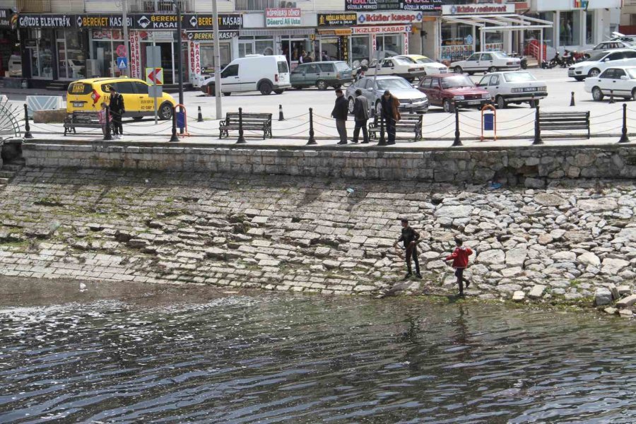Beyşehir Gölü Kıyısında Su Yüzeyine Çıkan Yavru Balıklar Görenlerin İlgisini Çekiyor