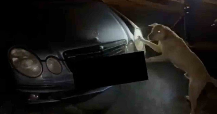 Kayseri’de Uyuşturucuya Geçit Yok: 4 Günde 33 Zehir Taciri Yakalandı