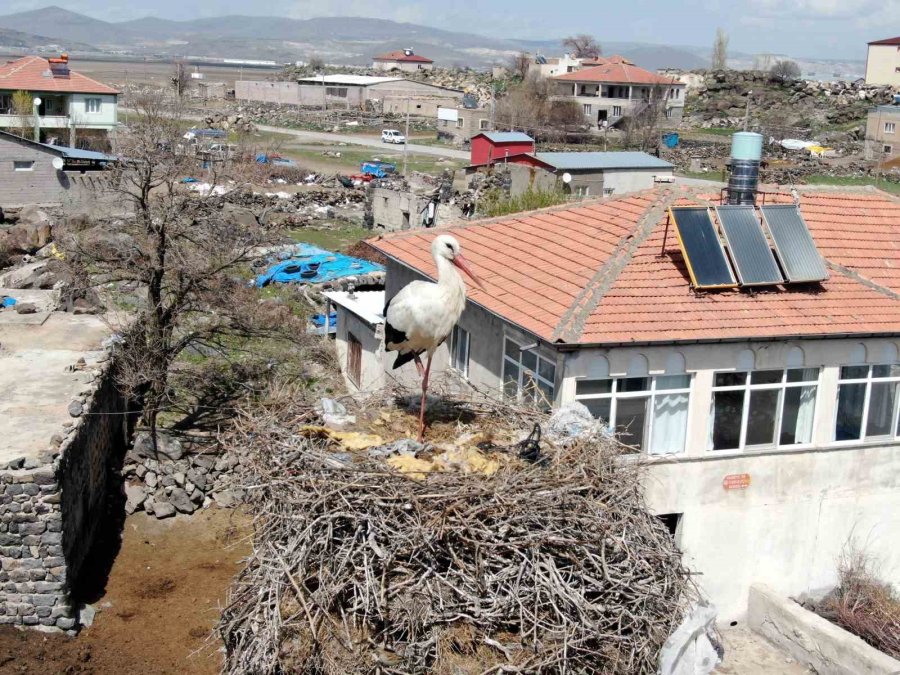 Kayseri’deki Yuvalarına Yerleşen Leylekler Havadan Görüntülendi